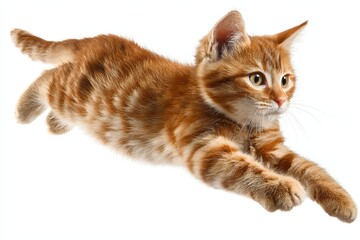 Obraz premium Whimsical Cat Soaring Through the Air, Isolated on White, Capturing Playful Moments of Joyful Jumps and Dancing Tricks
