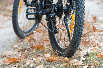 rear wheel of a mountain bike. Mountain bike. stands on a forest road. concept of cycling, repair or breakage, sports, outdoor activities. bike on trail, rear wheel in focus. autumn park