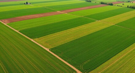 Obraz premium Aerial view of expansive patchwork farmland with vibrant green and brown fields showcasing agricultural diversity and rural landscape under clear skies