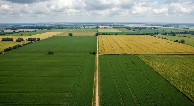 Aerial view of expansive agricultural landscape with vibrant green and yellow fields under a partly cloudy sky showcasing rural farmland and countryside scenery