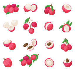 Cartoon lychee. Isolated fruits, lychee icons whole half and cut with bone. Exotic sweet vitamin food, raw ingredients for desserts, neoteric vector clipart