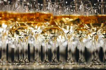 Close-up of Multiple Wine Glasses