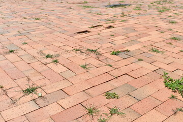 Red pavers on city walkway. Lots of grass and weeds poking through cracks.