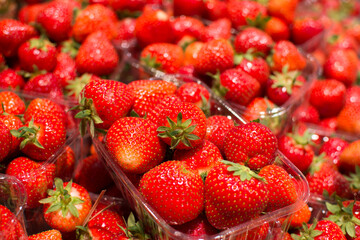 Fresh ripe red strawberries in plastic containers at market stall