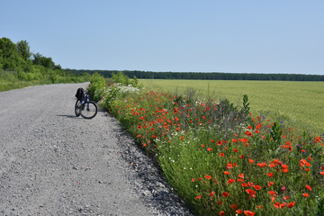 bike stands on the road in the field. A mountain bike stands on a field path with red poppies. Mountain bike. wheat field, sunny day. ride a bike. active outdoor recreation. trip to the countryside