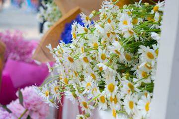 Bouquet of daisies and blue cornflowers forming a vivid pattern
