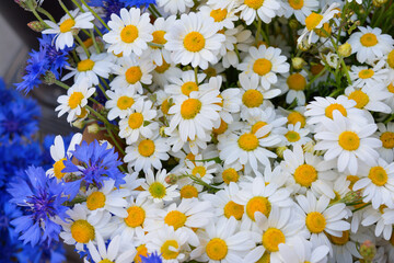 Bouquet of daisies and blue cornflowers forming a vivid pattern