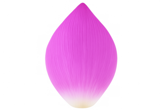 Pink lotus flower bud opening, revealing layered translucent petals against transparent background with soft organic details