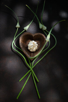 Fototapeta Garlic pod and garlic flowers