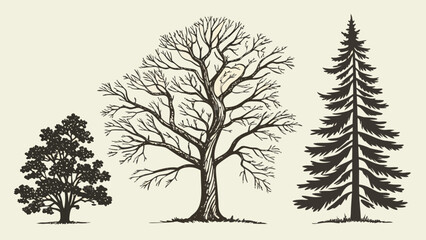 Obraz premium Tree Vector Collection — Nature Icons, Seasonal Trees, Line Art & Flat Styles for Eco Projects & Decor