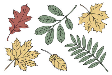 Obraz premium Leaf Vector Icon Set — Greenery, Doodle, Flat & Realistic Leaves for Nature, Organic, and Eco Brands