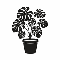 Monster plant in a pot image vector. Illustration of a monster plant in a pot on a white background