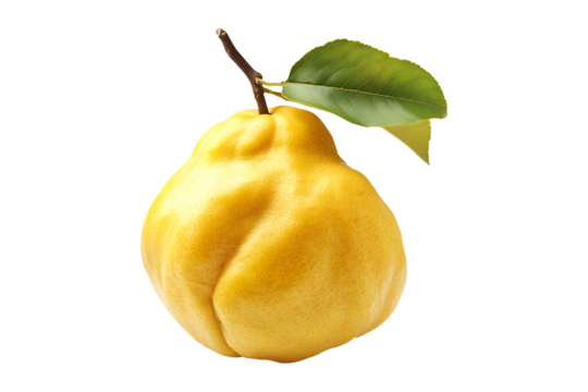 Quince fruit isolated on a transparent background