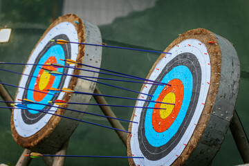 A circular archery target with concentric color rings is pierced by several arrows, highlighting both precision and missed shots, set against a green backdrop.