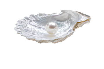 Naklejka premium A pearl is sitting in a shell