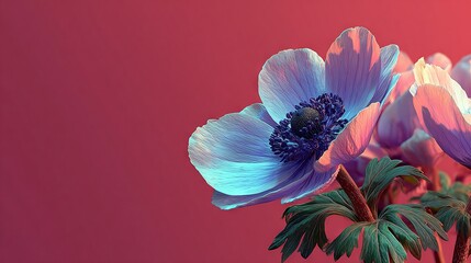   A close-up of vibrant flowers against a pink-red backdrop, with a pink wall in the distance