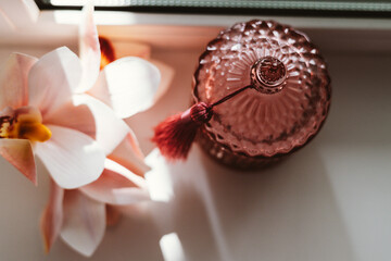 Soft sunlight illuminates an elegant glass jar and a delicate pink orchid bloom. A beautiful pink...