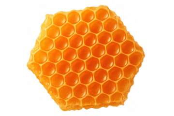 Honeycomb section revealing golden-hued cells dripping with pure nectar, highlighting intricate honeybee architectural design against translucent backdrop