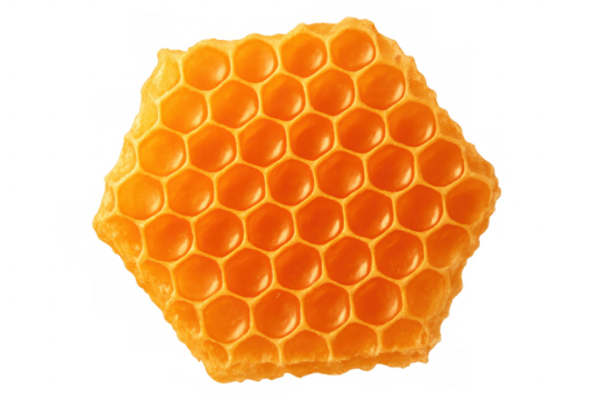 Honeycomb section revealing golden-hued cells dripping with pure nectar, highlighting intricate honeybee architectural design against translucent backdrop