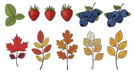 Set of 14 whimsical doodle illustrations of foraged forest items. Include 6 wild strawberries (bright red with tiny yellow seeds), 5 clusters of blueberries (deep indigo)