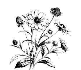Rustic Hand-Drawn Wildflower Bouquet Illustration - Black and White Botanical Sketch of Meadow Flowers