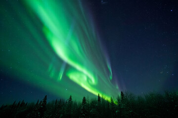 Vibrant Green Aurora Borealis Display over Snowy Winter Forest at Night