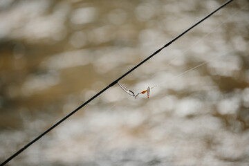 Fishing rod with bait hanging over blurred river for trout fishing