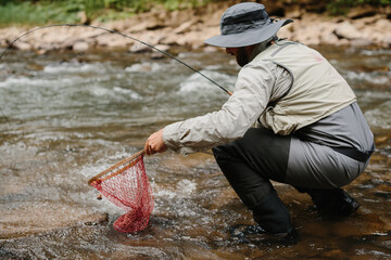 Angler skillfully catching trout in mountain stream