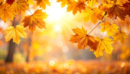 Autumn Leaves Frame Golden Foliage and Sunburst in Fall Season.
