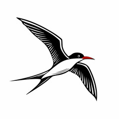 Tern flying bird logo vector Image isolated on white background.