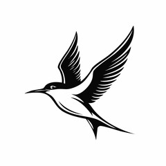 Tern flying bird logo vector Image isolated on white background.