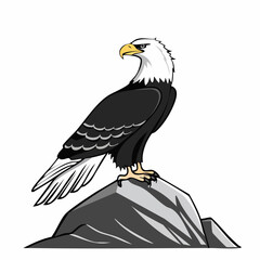 Eagle Sits On Rock Vector Image isolated on white background.
