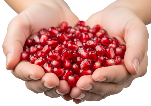 Hands holding pile of fresh ruby-red pomegranate arils, juicy and vibrant, isolated on transparent background, healthy snack, natural superfood