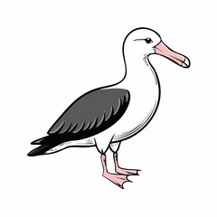 Wandering Albatross Image vector isolated on White background.