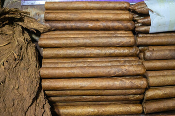 Tobacco leaves drying and handmade cigars stacked