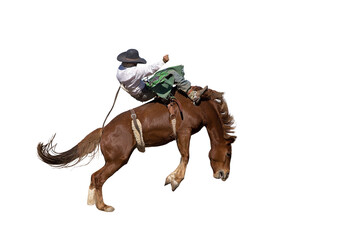 Bucking bronco horse at country rodeo png or white background