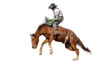 Bucking bronco horse at country rodeo png or white background