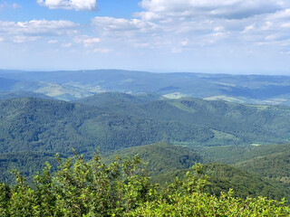 Carpathian Forest Hills in Summer