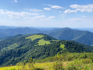 Lush Carpathian Mountain Ridges in Summer
