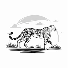 Cheetah gracefully walking in the savannah Image vector isolated on white background.
