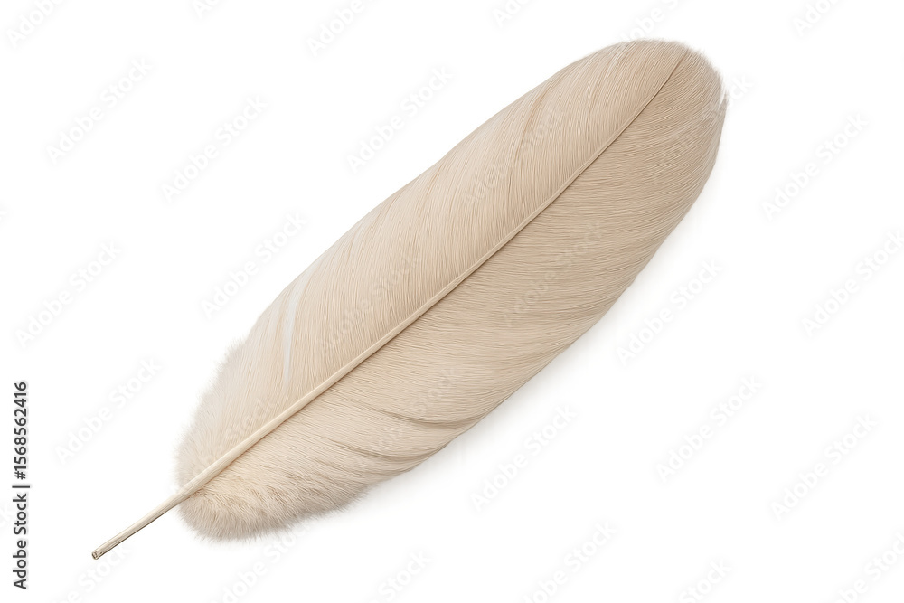 Poster light, delicate white feather isolated on a transparent background, perfect for adding a touch of na