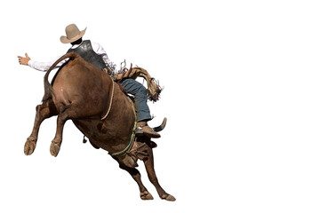A cowboy bull riding at a country rodeo, png or white background