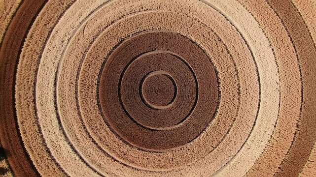 Aerial view of circular crop fields forming concentric circles and geometric patterns