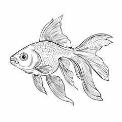 Goldfish vector. Elegant Goldfish Swimming Image vector on white background.
