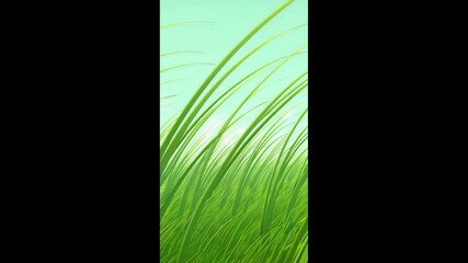 Animated grass field green blades in wind on light blue background artistic abstract nature scene