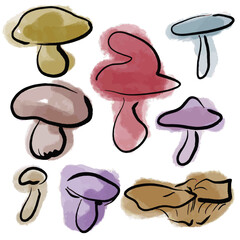 Mushroom set, hand drawn doodle. Watercolor and ink with texture. Vector, isolated.