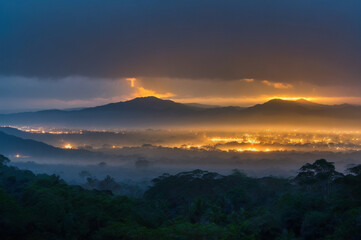 Fototapeta premium Tropical rainforest in across open pasture