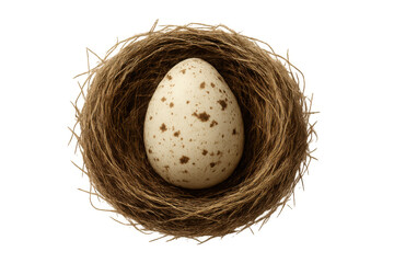 Obraz premium Bird nest cradling a single speckled egg, isolated on a transparent background, ready for compositing