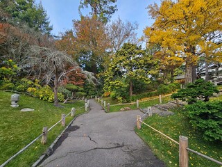 Scenes from San Francisco