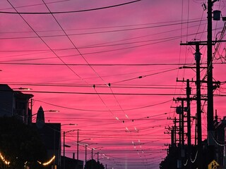 Scenes from San Francisco